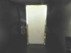 VIOLET WATERS TRUNK H